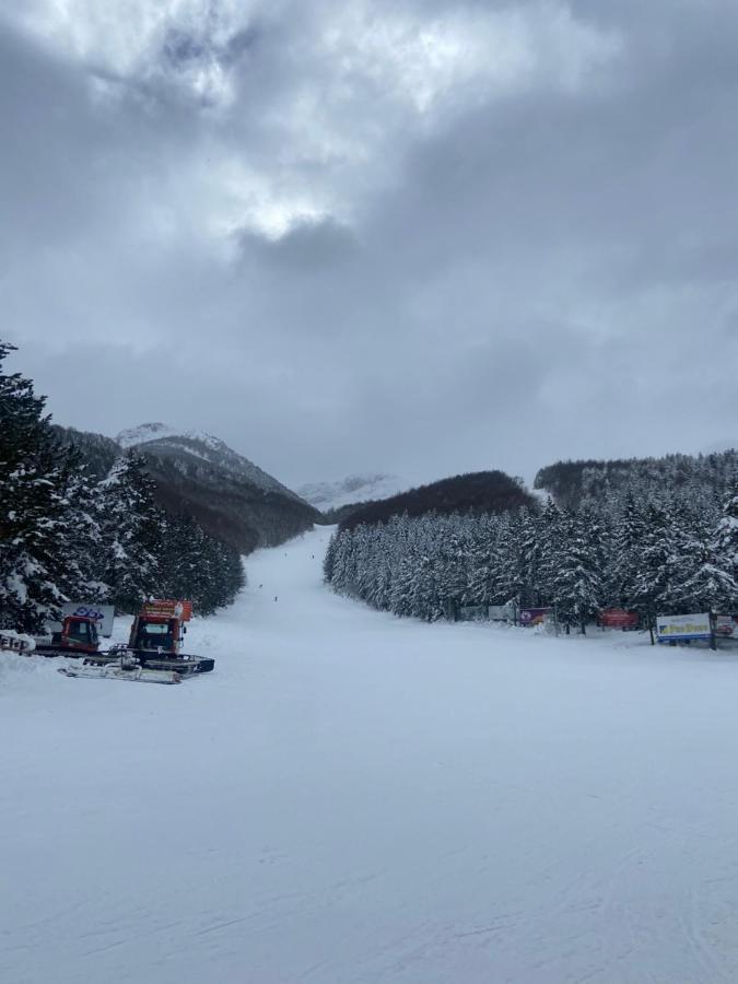 Risovac Lake Houseヴィラ エクステリア 写真